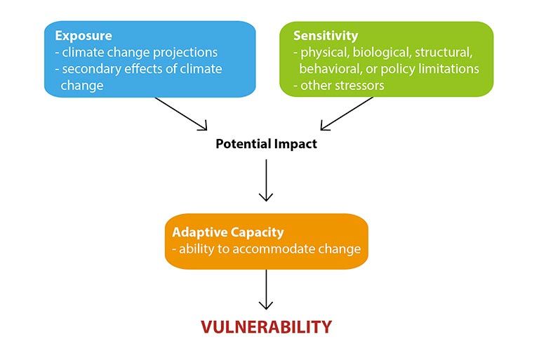 ClimateWise Services Vulnerability Assessments